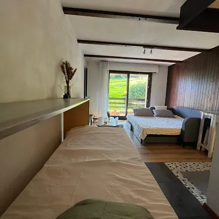 Cosy Studio Dans Le Domaine Skiable Des Portes Du Soleil A Torgon Vionnaz Exterior photo
