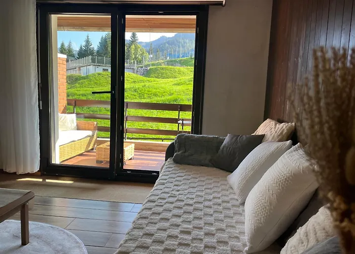 Cosy Studio Dans Le Domaine Skiable Des Portes Du Soleil A Torgon