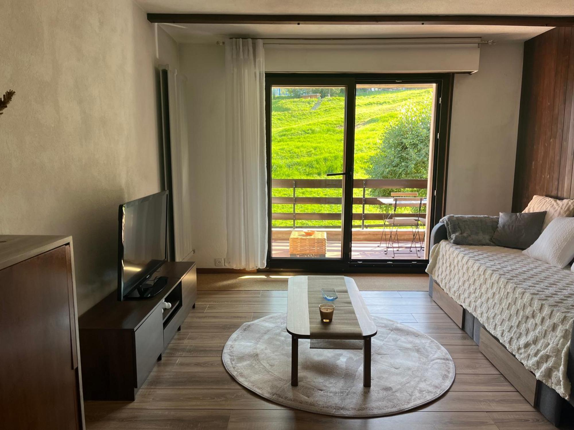 Apartment Cosy Dans Le Domaine Skiable Des Portes Du Soleil A Torgon